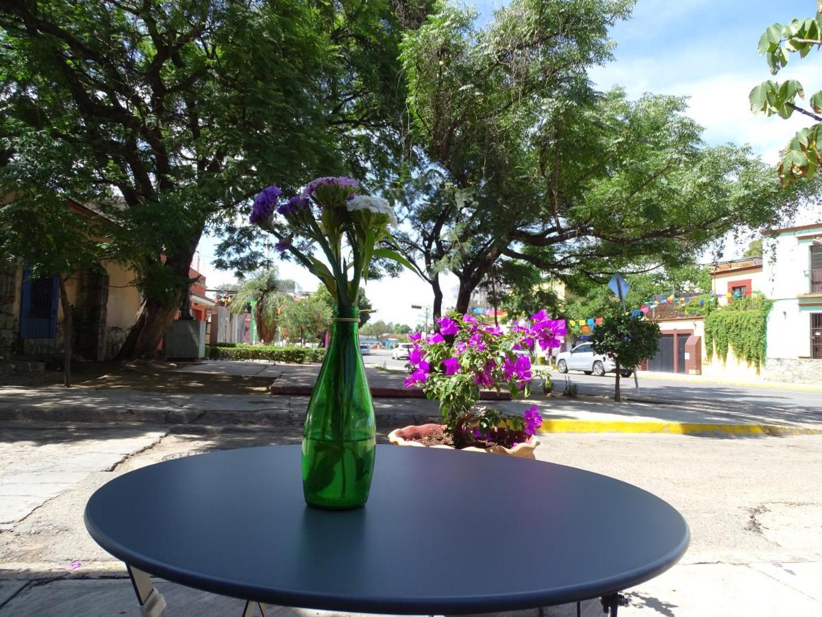 Alojamiento Jalatlaco - Car Rental! Estacionamiento En La Calle Sujeto A Disponibilidad Oaxaca エクステリア 写真